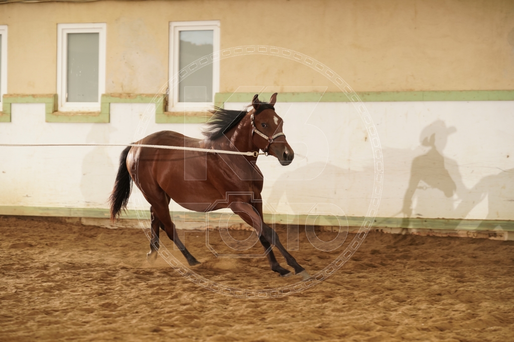 s_K3F03434.JPG